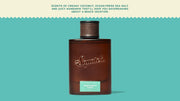 Castaway Cove Cologne - Modern Daily Scent
