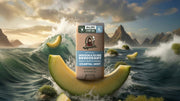 Coastal Mist Invisible Glide Deodorant - Active Daily Glide