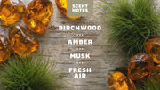 Birchwood Breeze Refreshing Face Wash - Bright Fresh Profile