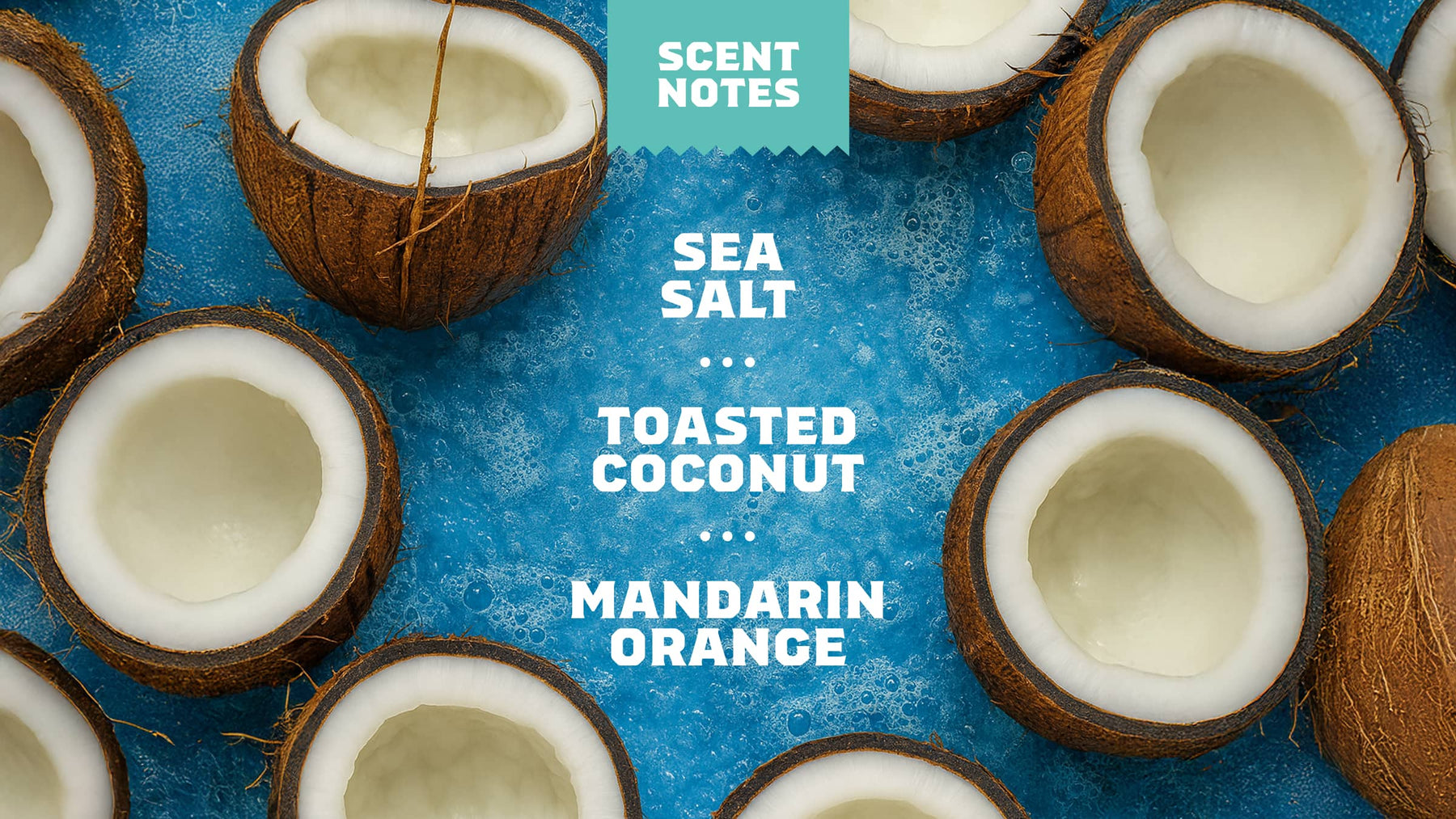Coconut Castaway Invisible Glide Deodorant - Outdoor Active Glide
