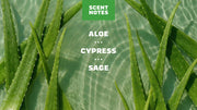 Cool Fresh Aloe - Essential Shower Clean