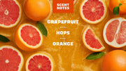 Grapefruit IPA - Classic Shower Routine