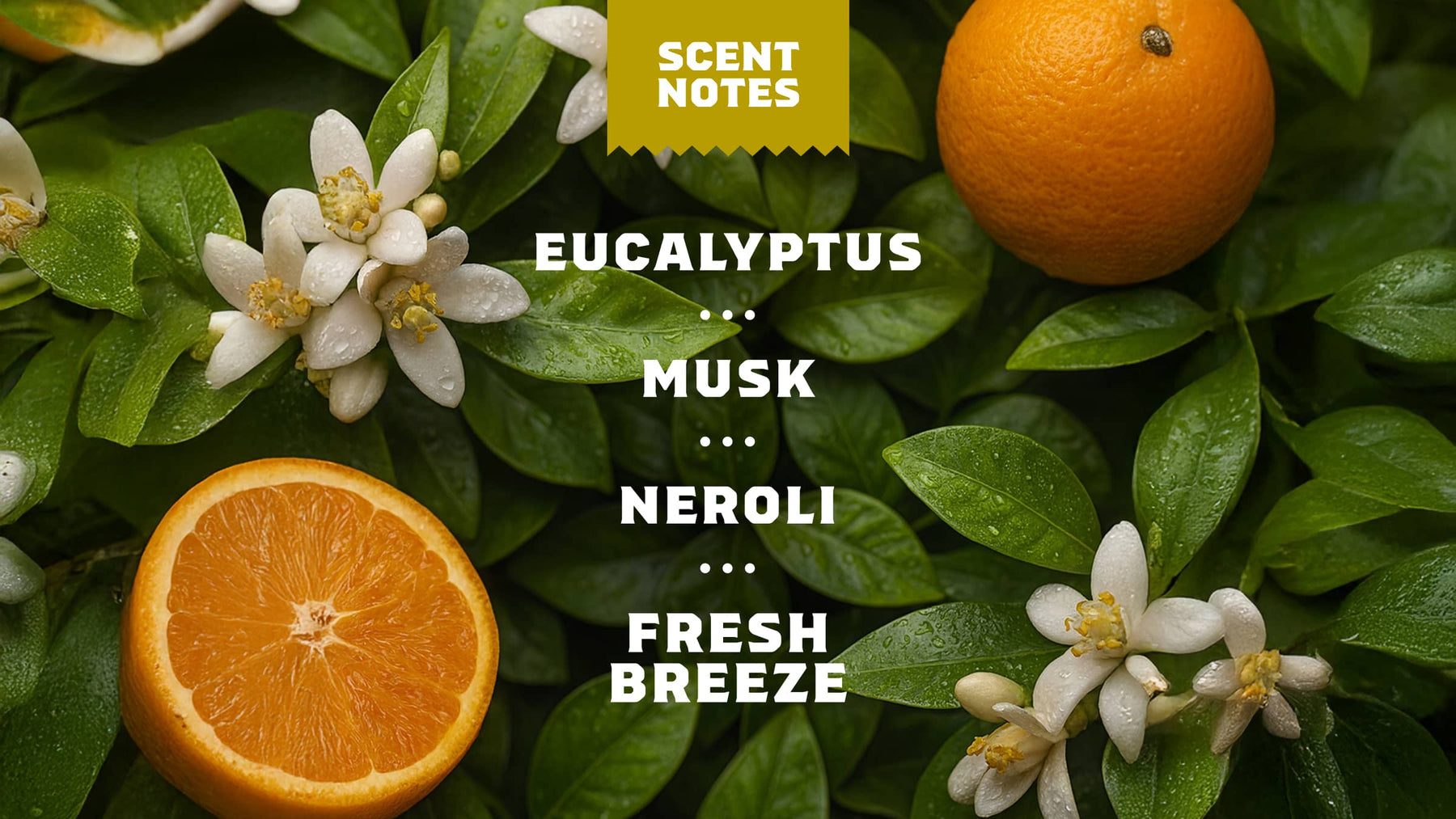 Mountain Meadow Spray Deodorant - Simple Guard
