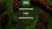 Pine Tar Spray Deodorant - Bright Daily Guard