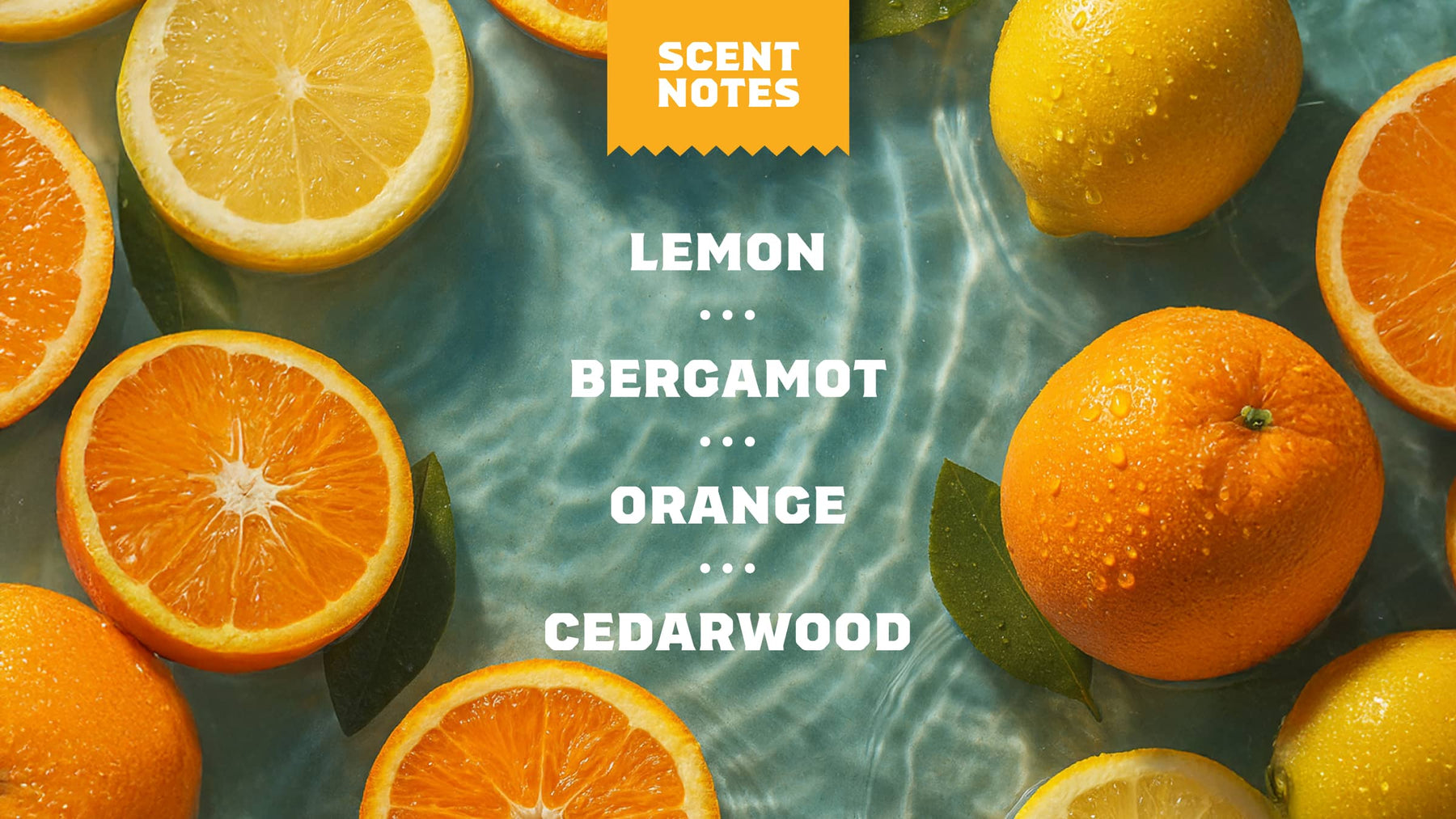 Summer Citrus - Daily Clean