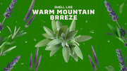 Alpine Sage - Bright Morning Wash