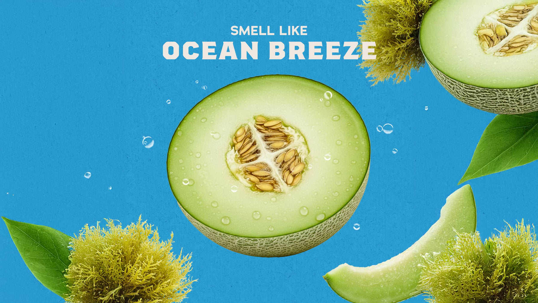 Coastal Mist - Modern Shower Wash