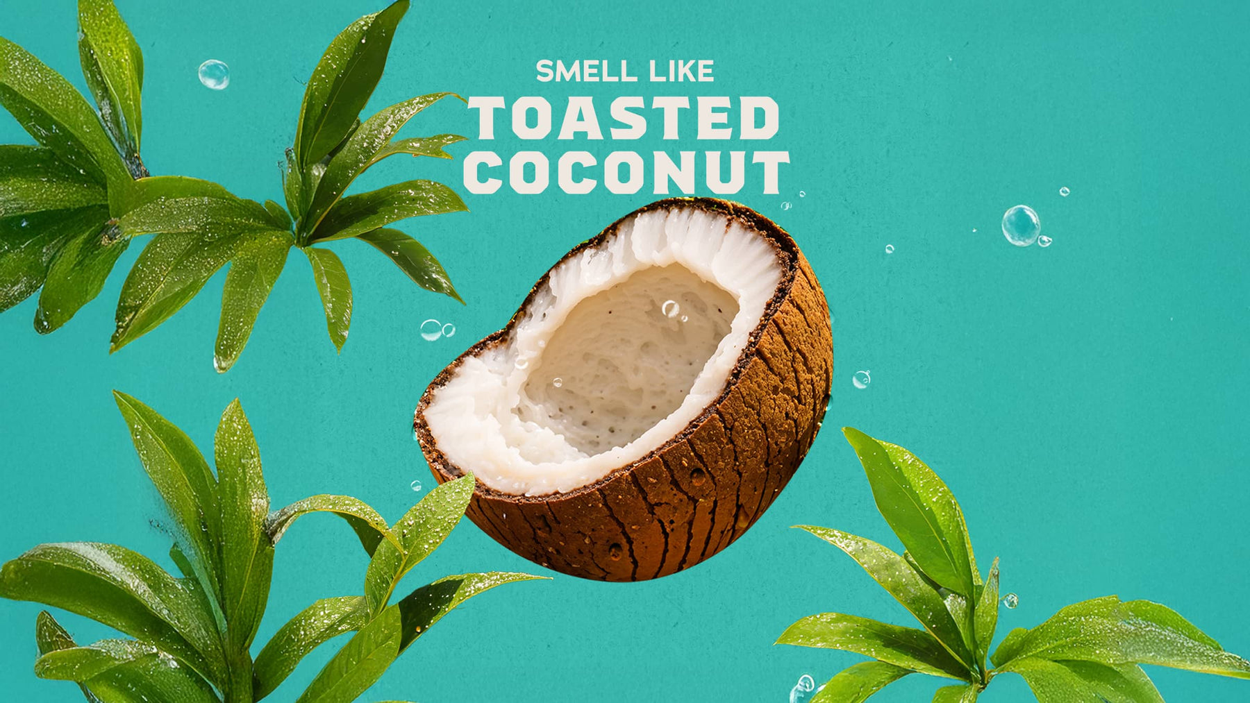 Castaway Cove Beard Oil & Cologne - Modern Scent
