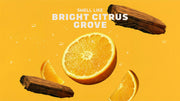 Summer Citrus - Daily Clean