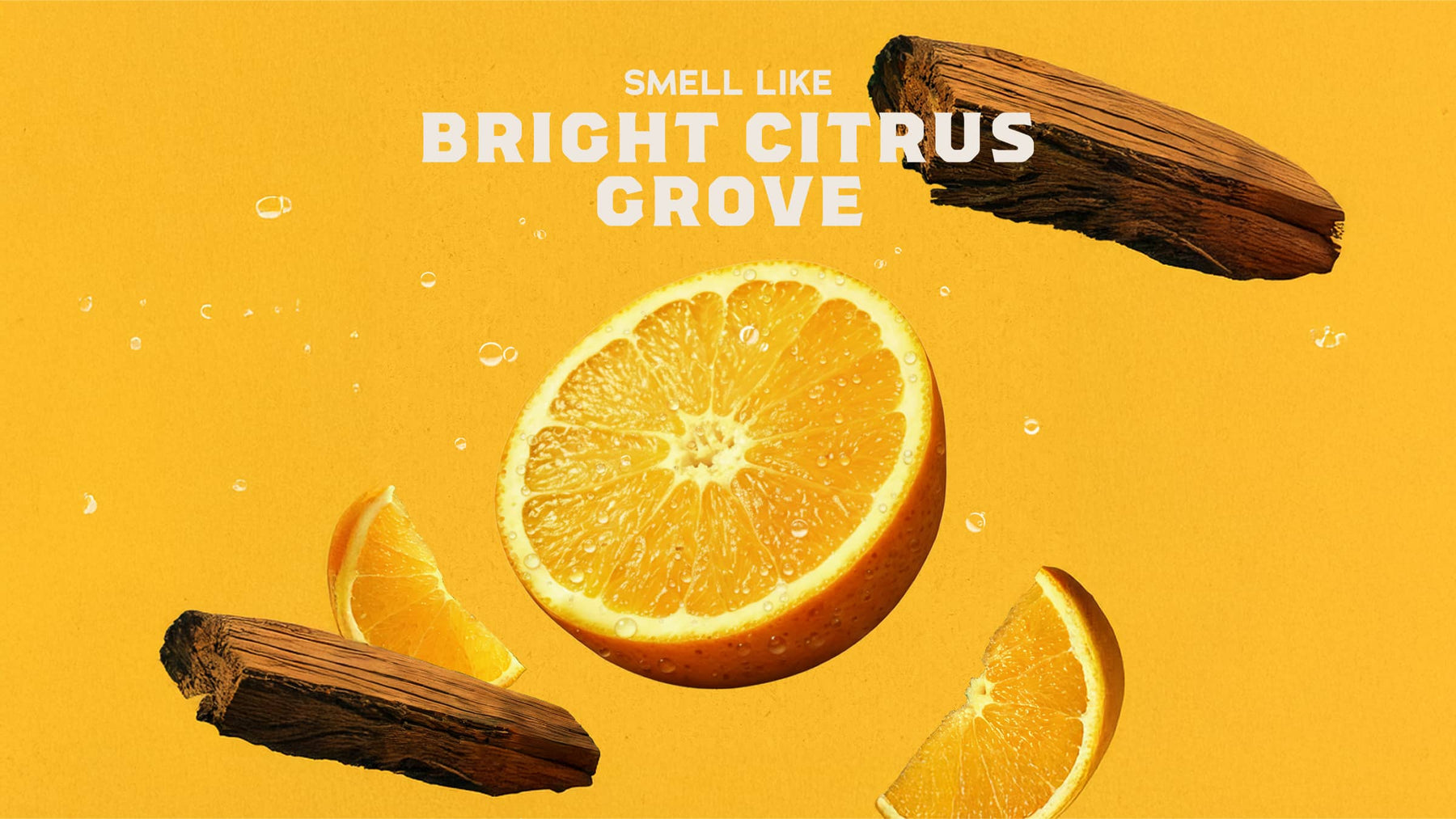 Summer Citrus Deodorant - Daily Shield